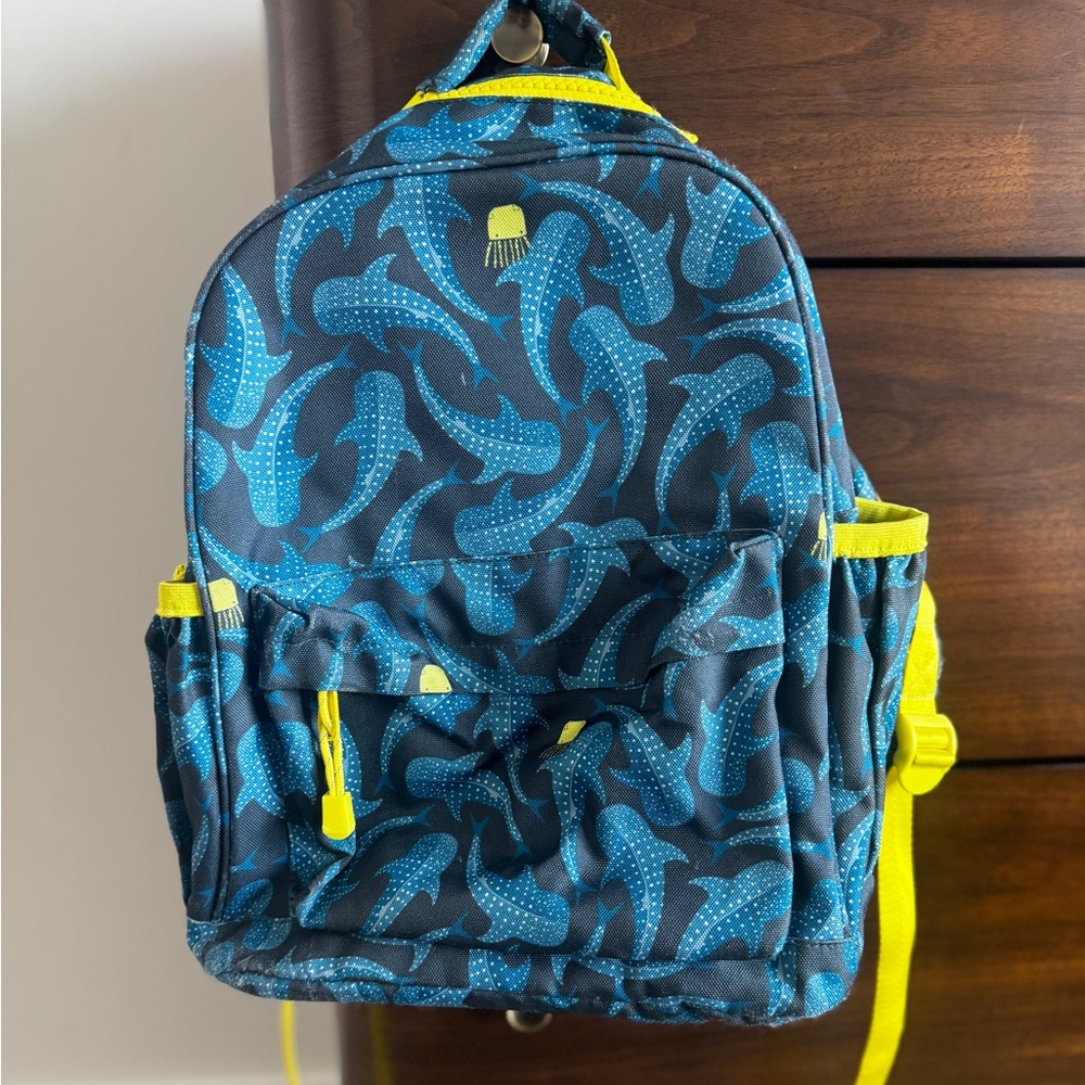 Crate and Barrel backpack